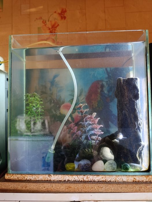 Продам аквариум 6 л