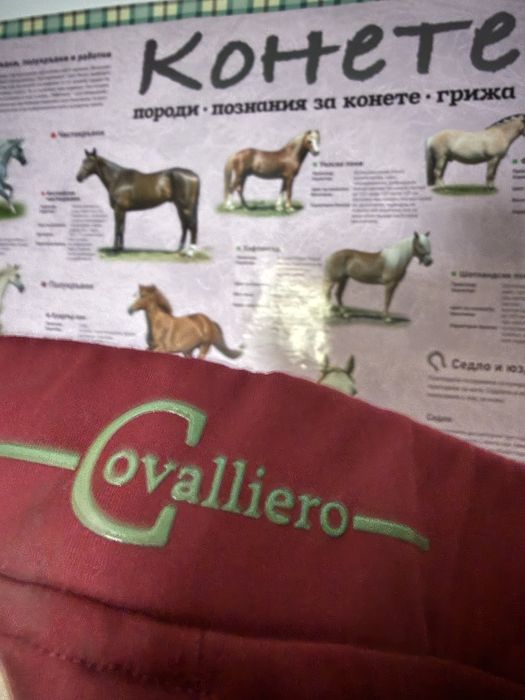 Детски брич / клин за езда (+чорапи) Cavalliero