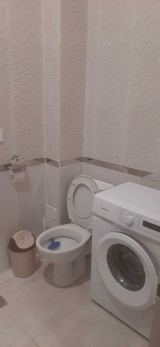 Inchiriez parter casa, 2 ap cu 2 camere si o garsoniera, zona Unirii