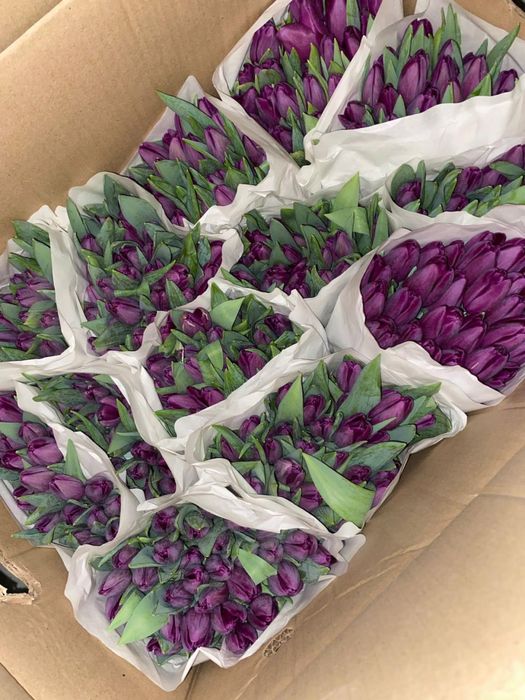 Тюльпаны в сумках