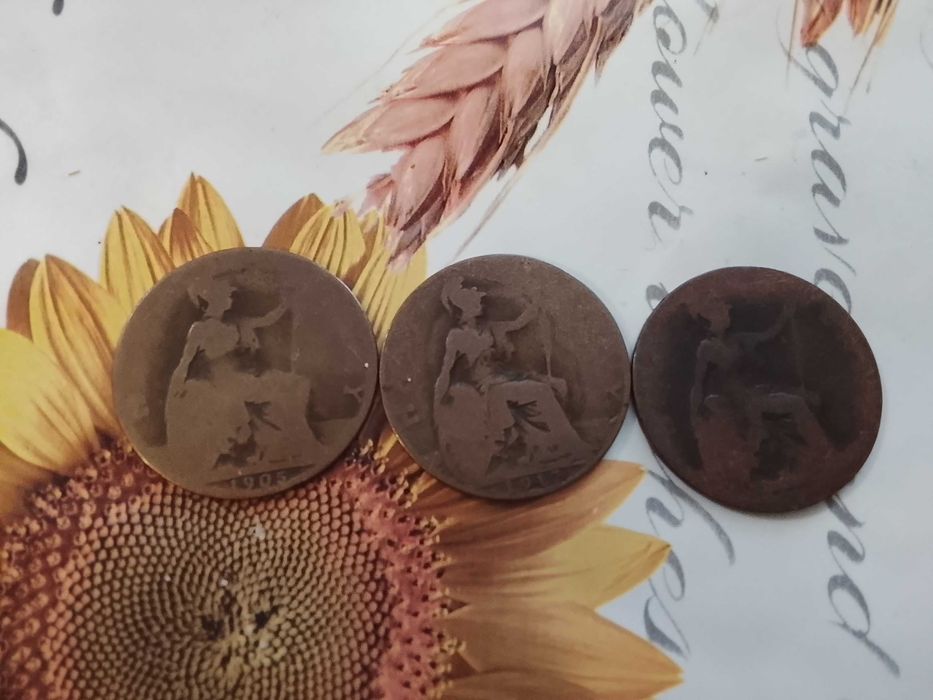 Монети и Банкноти