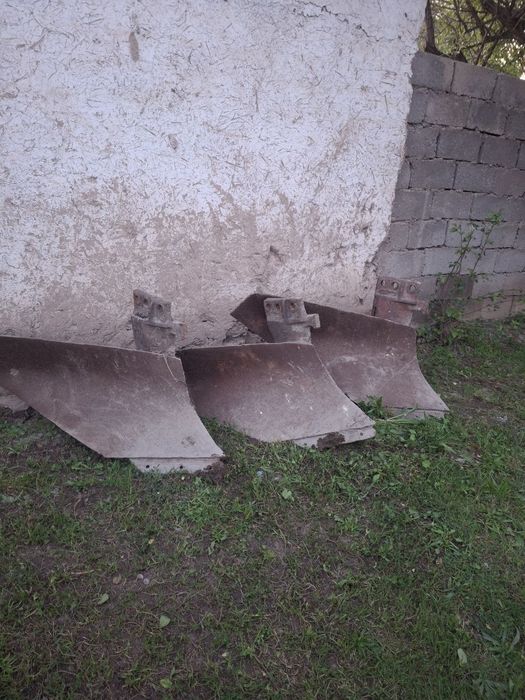 Pulik oyoqlari sotiladi