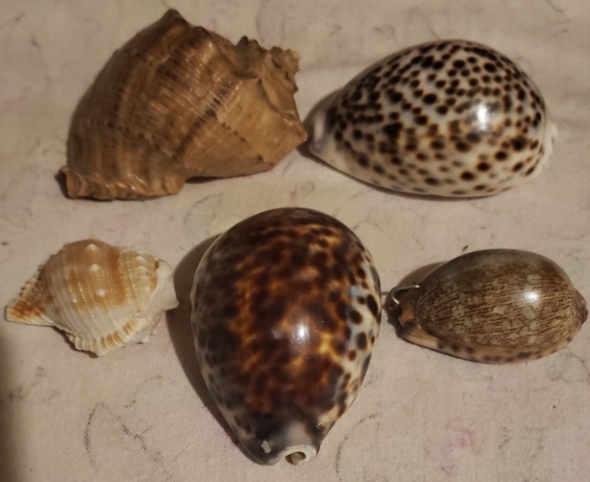 Продам камни для аквариума