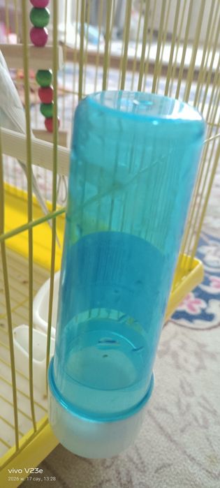 Тотыкыз сатылады