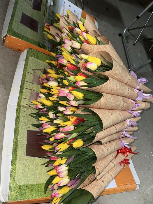 Тюльпаны корпаратив Алматы  600 тг