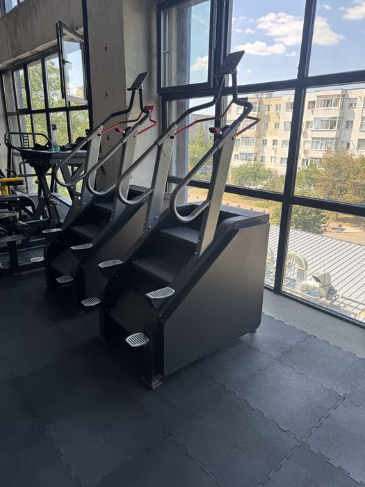 Scara fitness mecanica