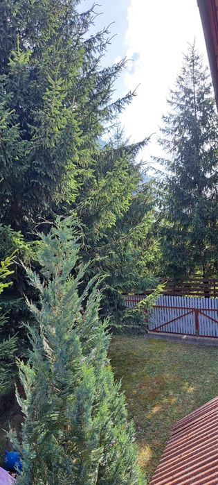 Vand vila la cheie Lepsa, Vrancea