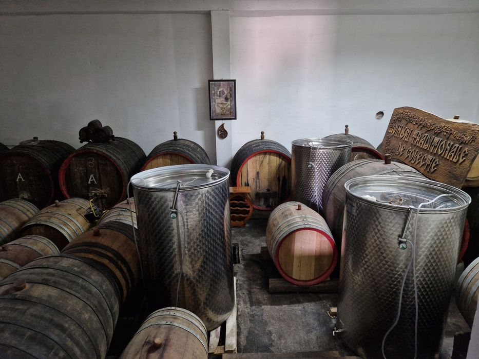 Struguri vin DOC Cotesti  Cabernet Sauvignon si Feteasca Neagra