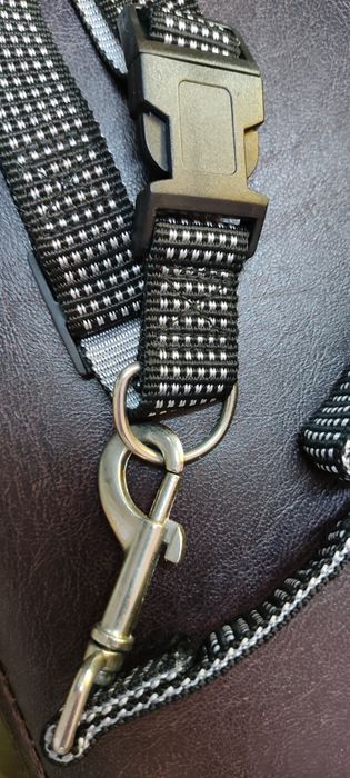 Zgarda, lesa pentru câini și pisici