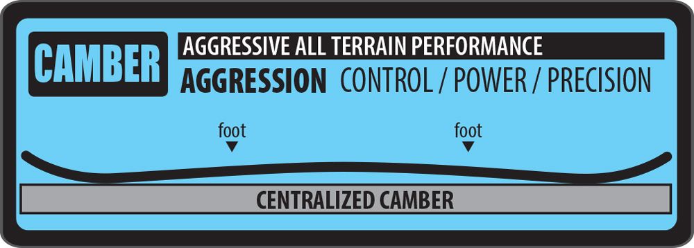 Lib tech T. Rice Pro Camber 20th Anniversary