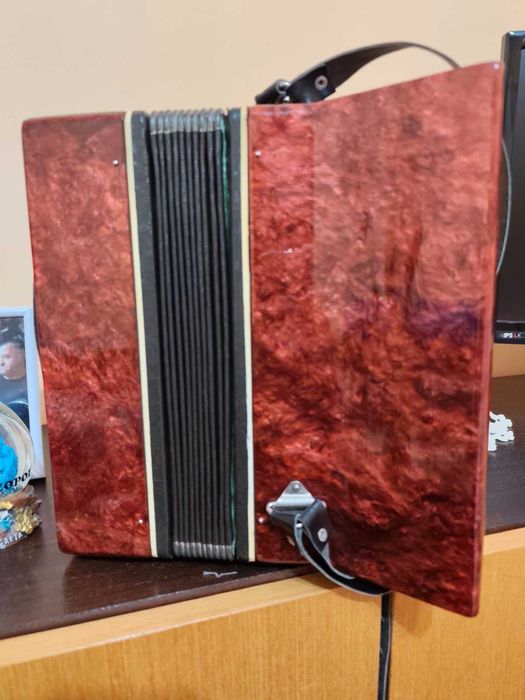 Детски малък акордеон