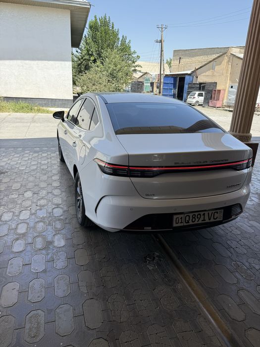 BYD Chazor Radnoy kraskada