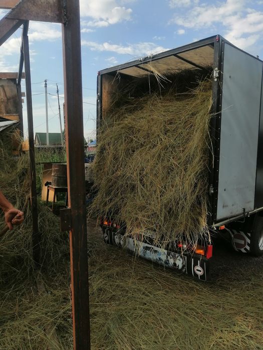Услуги газели, грузчиков