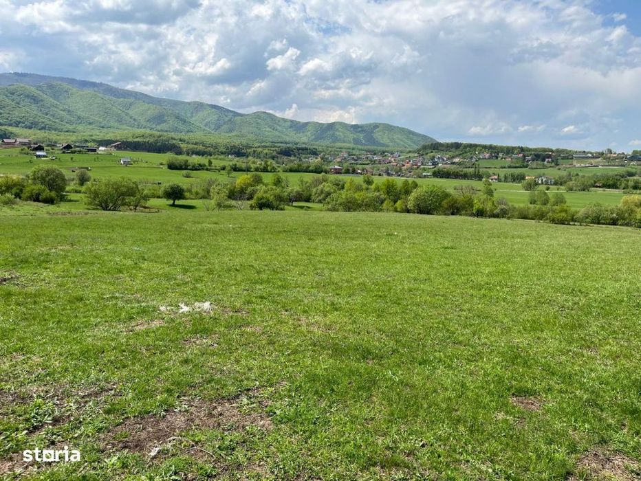 Parcela teren  600 mp Tocile Sadu