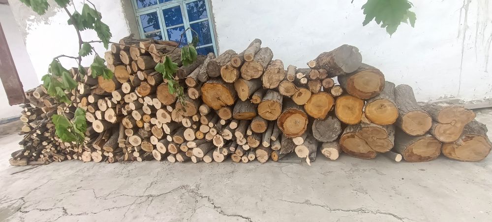 Oʻtin sotiladi bir labo chiqadi