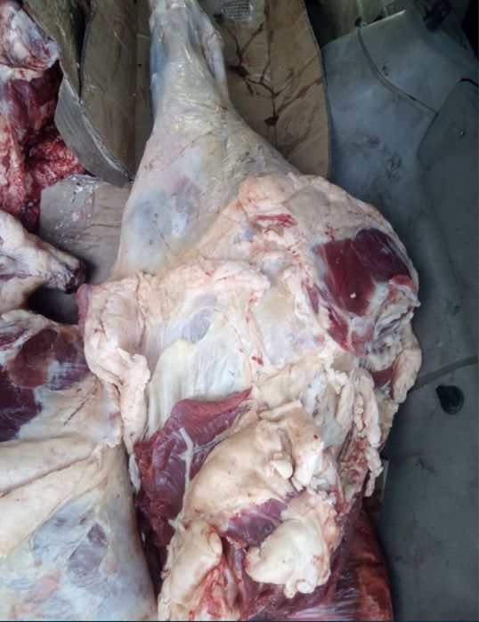 Говядина мясо оптом тушами