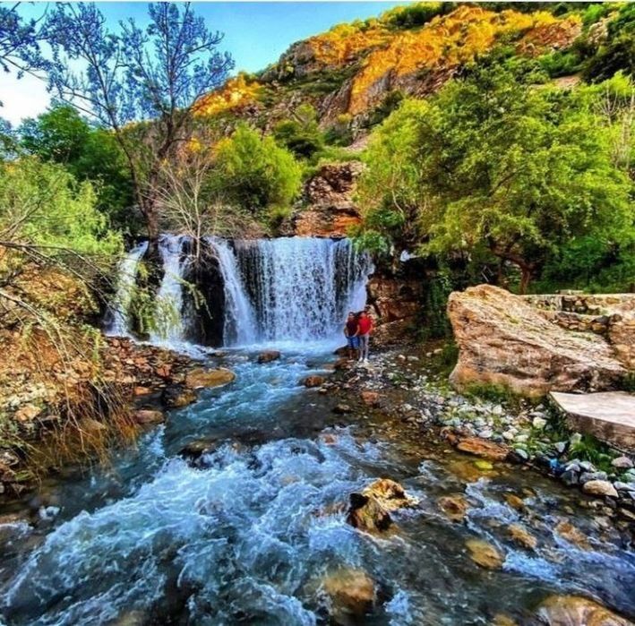 Aprel may oylari uchun skitka!!! Dacha kunlik ijaraga beriladi
