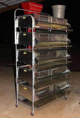 Bedana qafas chiqaramiz