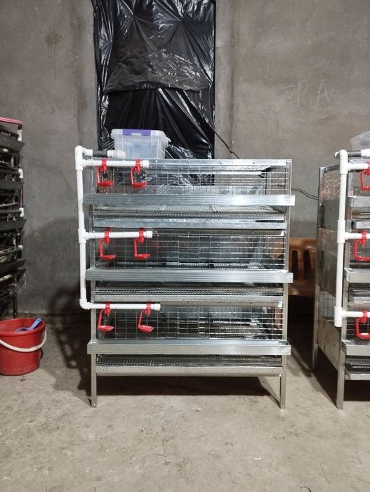 Клетка бедана заказ оламиз, P120 талик