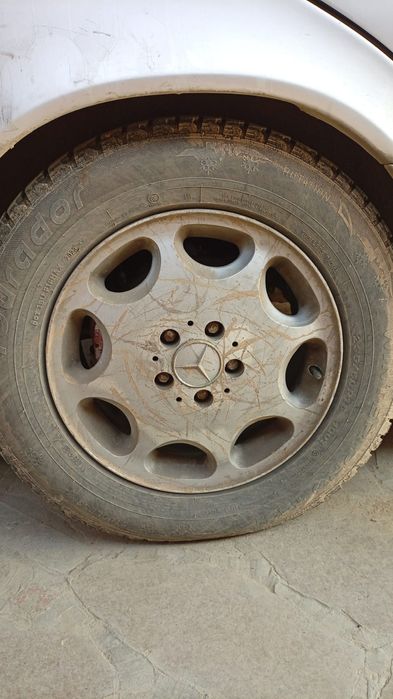 Кабан на разбор или целиком