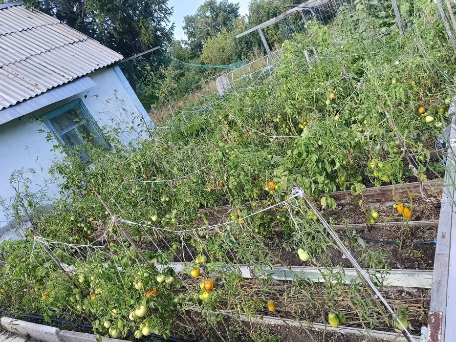 Продается дачный участок