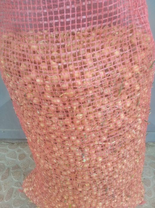 Арпаджик, балучка