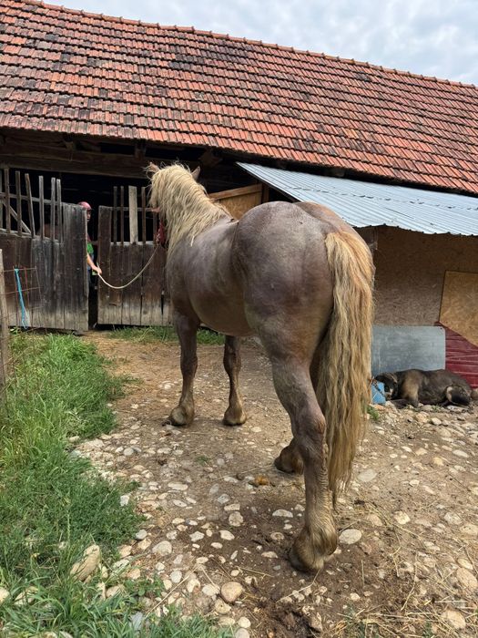Vând harmasar garantat de 4 ani pn mai multe detalii despre csl la telefon sau Nr afișat pe ecran