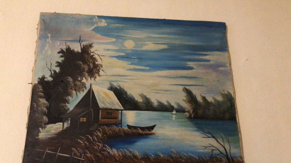 Lot tablouri panza 8