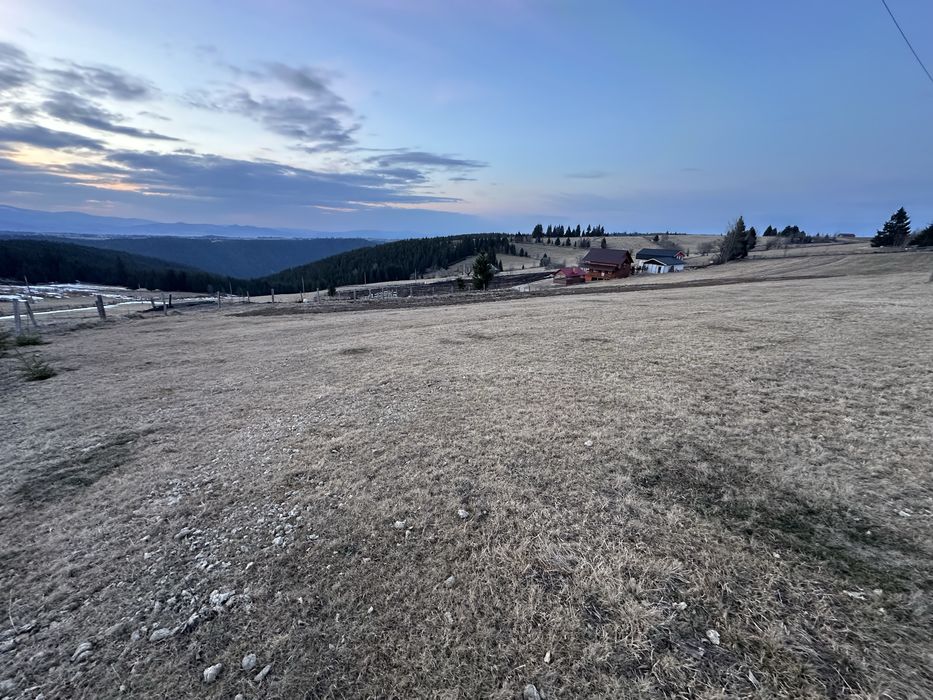 Teren in Marisel, Copcea aproape de partie