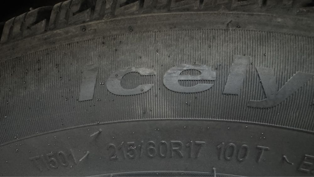 Triangle зимняя с шипами