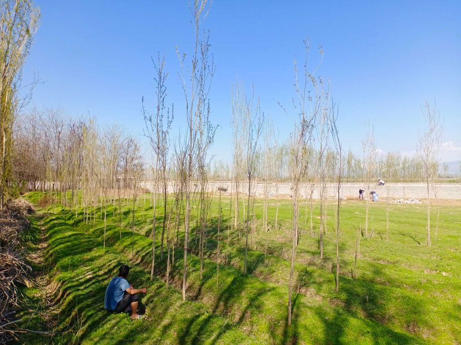 НОВЫЙ ТАШКЕНТ!!! Продается! Дача, земля под цех, коттеджный городок