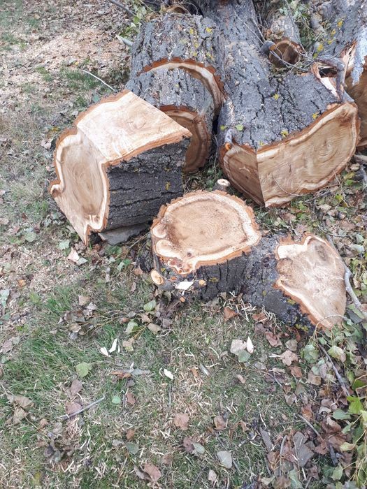 Дърва за огрев.  Топола.