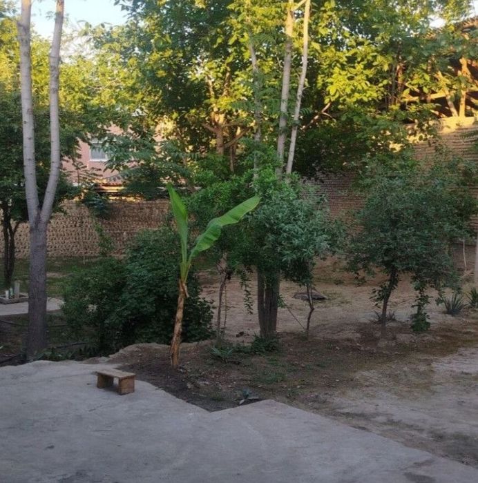 Ховли арзон нархда