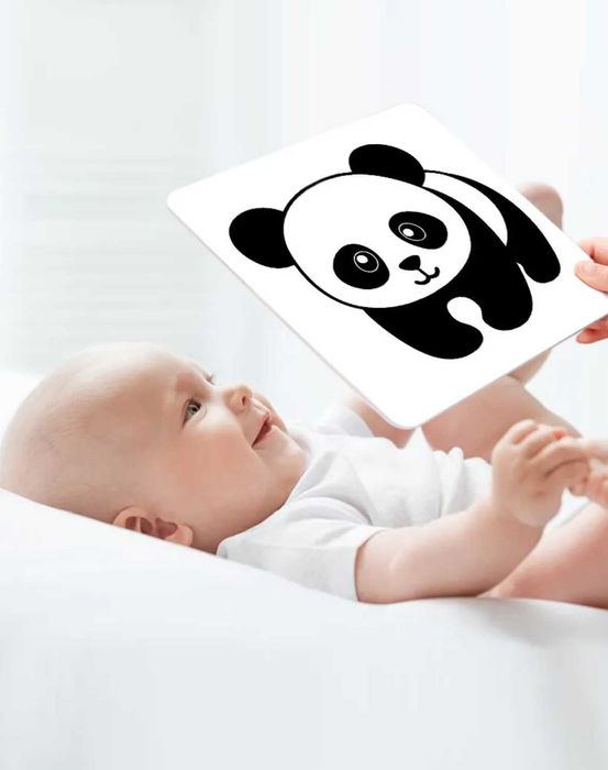 3 модела Стем Двустранни шаблони за визуално стимулиране и логика STEM