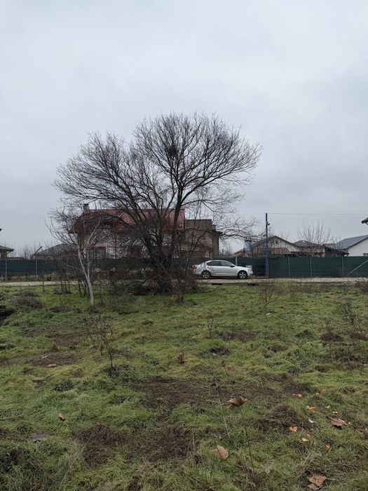 Vand teren in Cornetu 500 m2