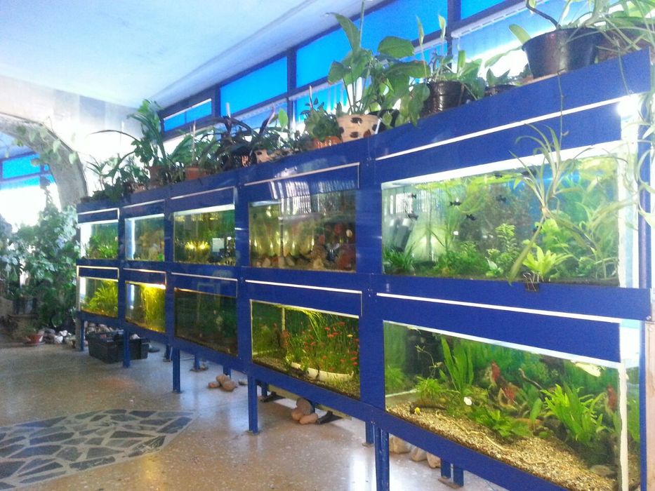 Чистка и обслуживание аквариумов