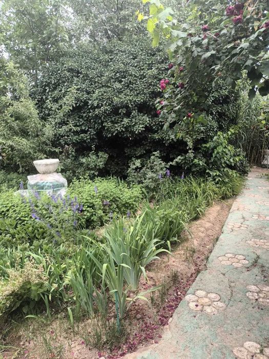 Продаётся дача в Фергане Калачах