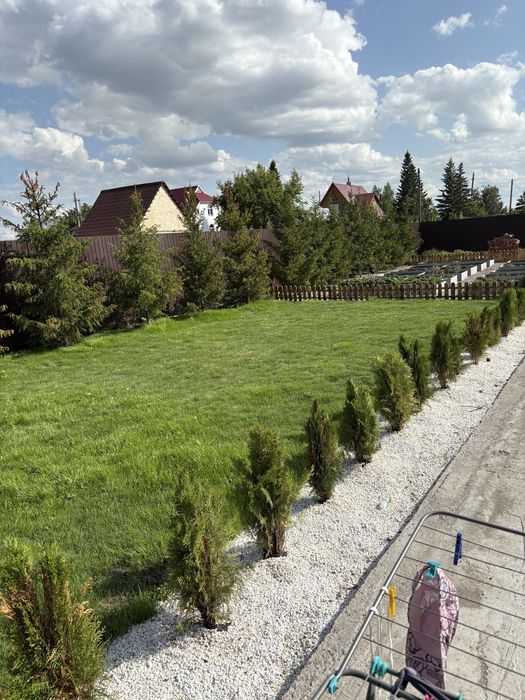 Газон зеленый сочный газон