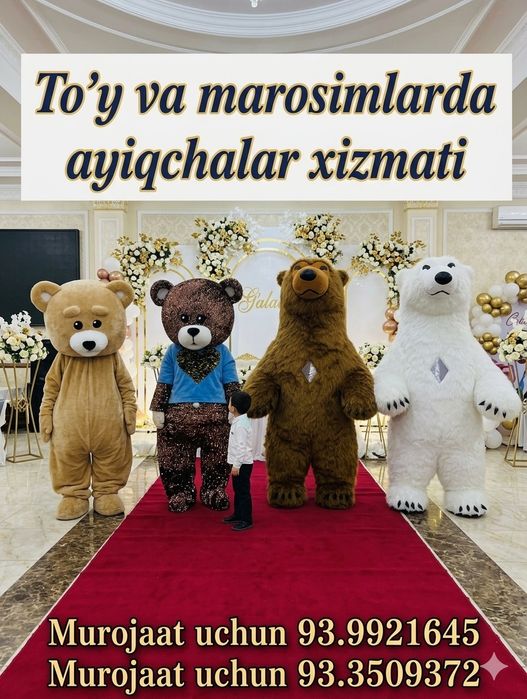 Ayiqchalar xizmatda