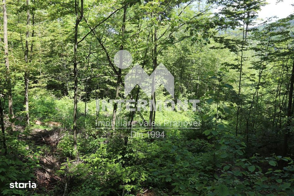 Teren Sinaia– Zonă Centrală, 500mp, Vedere Montană, Toate Utilitățile