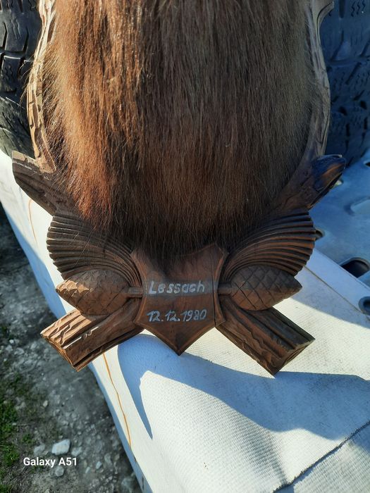 Голям трофей от коза