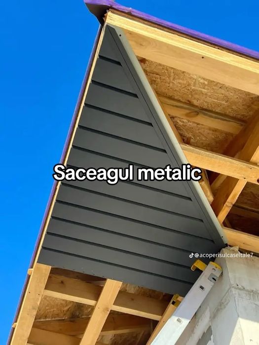 Acoperisuri și reparații