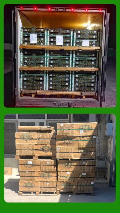 ОПТОМ Қадоқлаш учун ПЭТ тасма | Упаковочная ПЭТ лента ОПТОМ