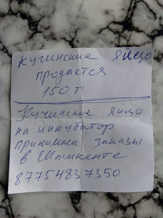 Кучинские Яйца продается