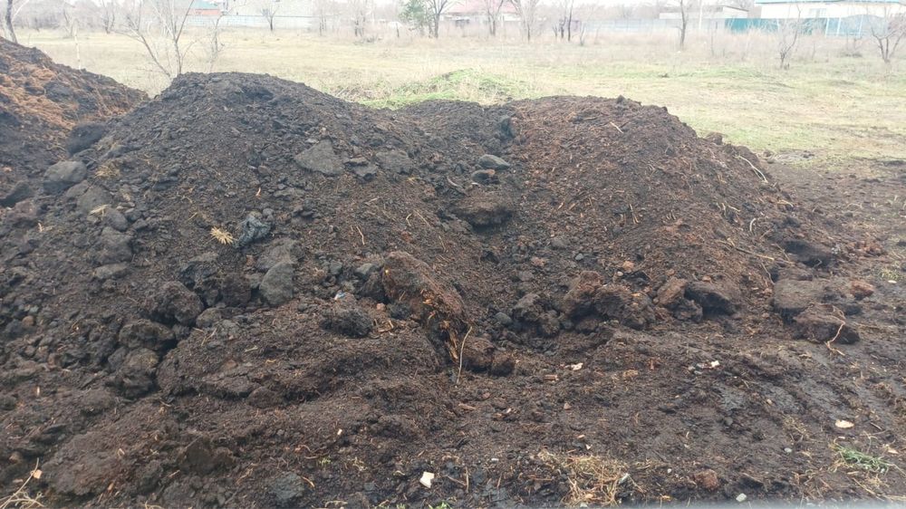 Продам перегной.