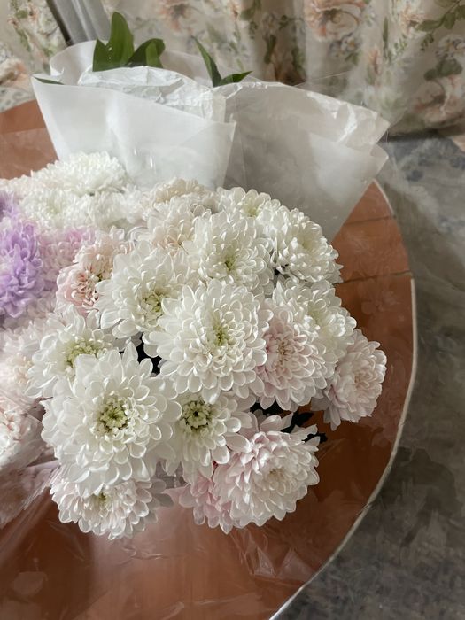 Продам цветы недорого