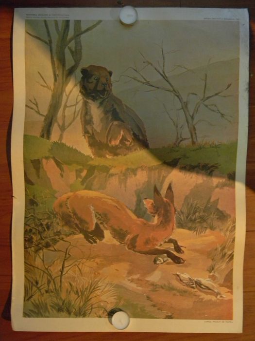 Planse pentru prescolari din perioada comunista