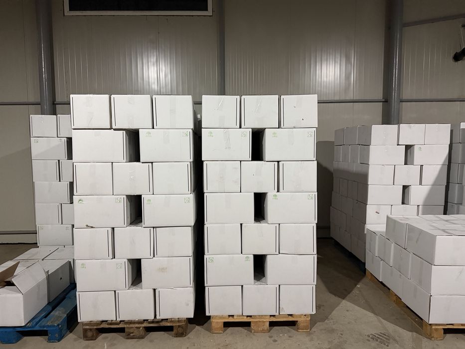 Miez de Nuca, toate felurile, Ucraina, extra++, jumatati, mixt,