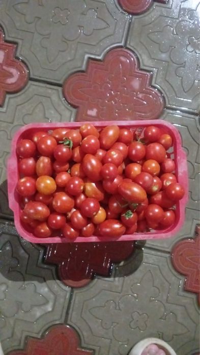 Продается домашние огурцы, черри, помидор
