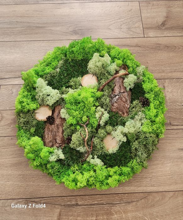 Картини със скандинавски мъх